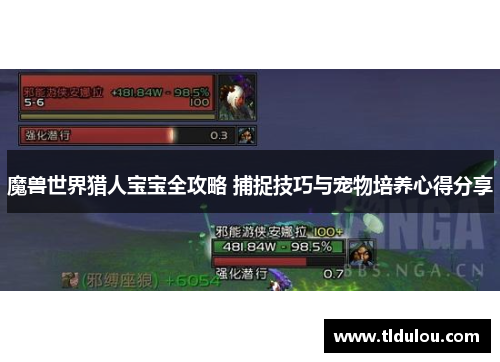 魔兽世界猎人宝宝全攻略 捕捉技巧与宠物培养心得分享