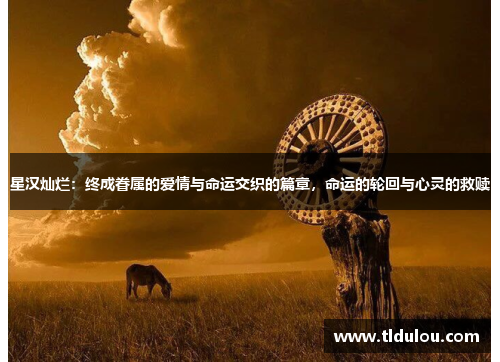 星汉灿烂：终成眷属的爱情与命运交织的篇章，命运的轮回与心灵的救赎